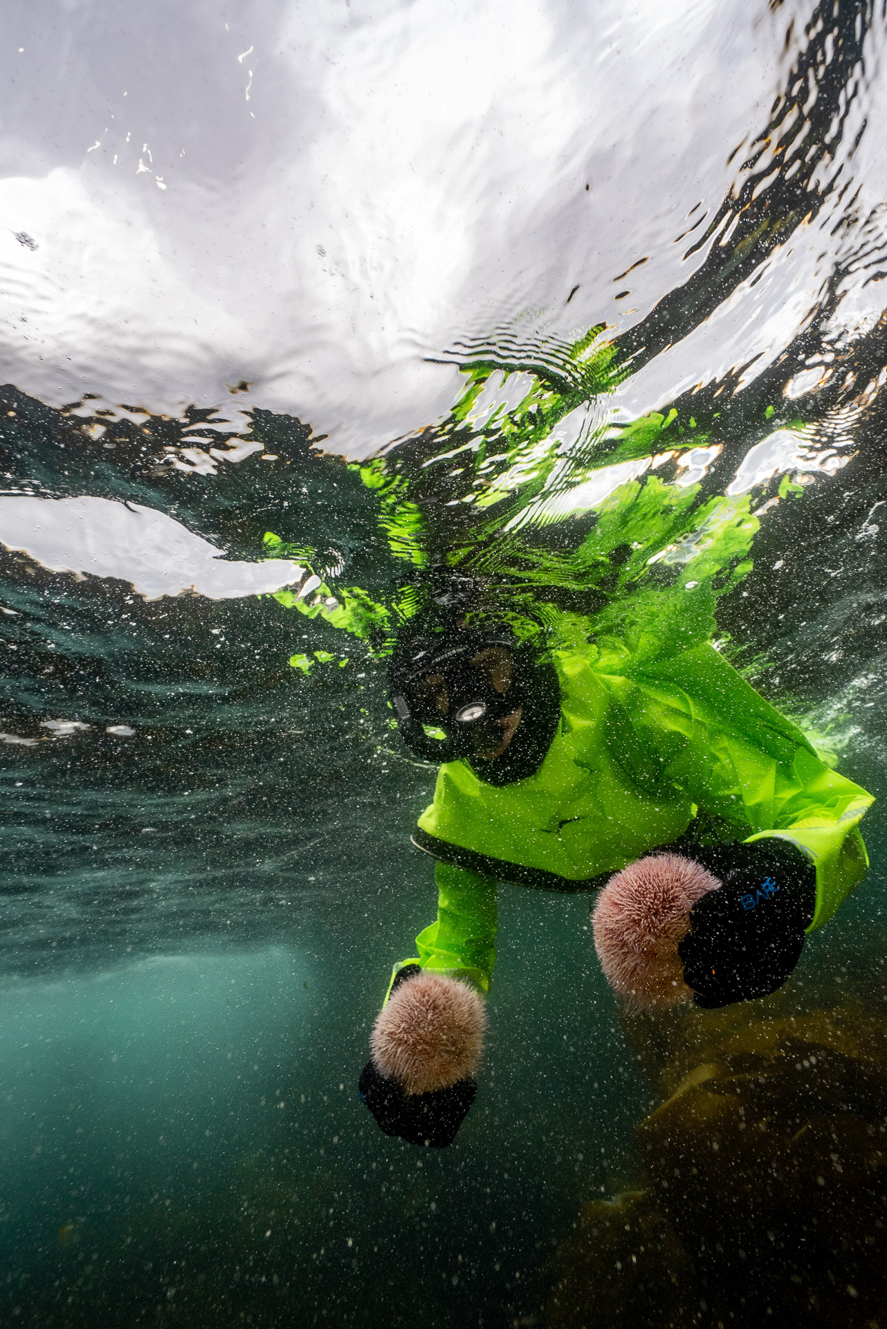 Underwater photography - Undervannsfotografering